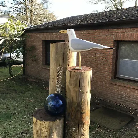 Semesterbostad Haus Seepferdchen Graal-Mueritz